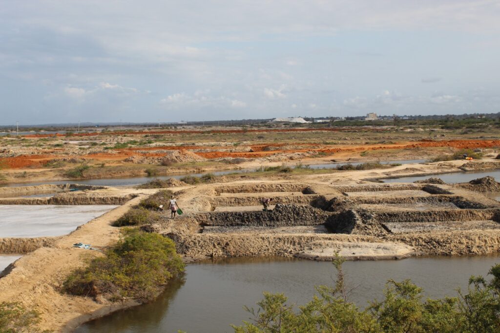 Fish farming ponds in kilifi