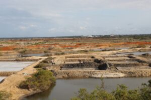 Fish farming ponds in kilifi