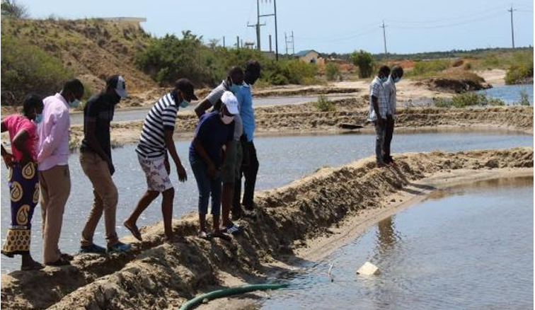 Fisheries Ecosystem Management and Value Chain Analysis