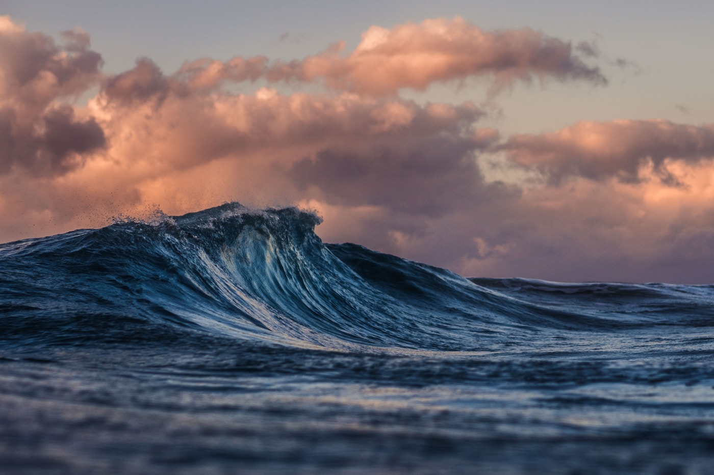 Maritime Policy, Regulatory Development, and Legal Reforms