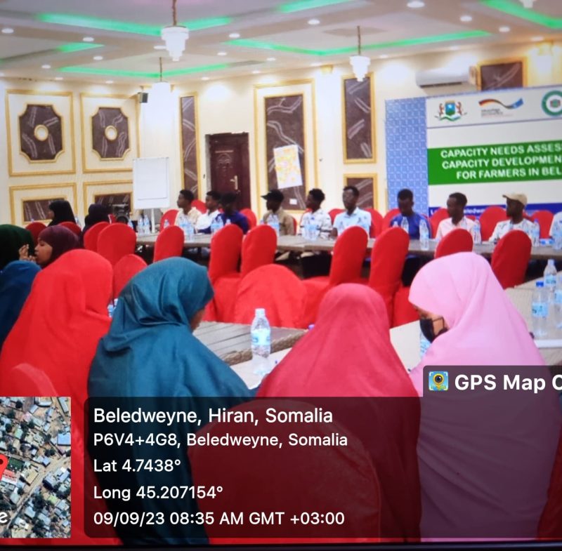 OPDL Training sessions