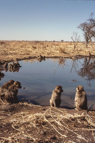 Water reservoir protection